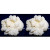 Packung 2x 40g Milchkefir Pilz / Knollen
