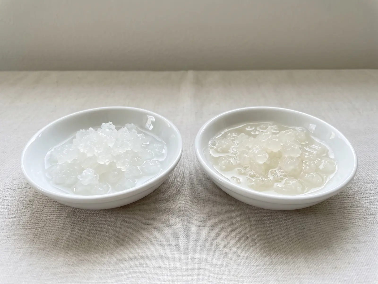 wasserkefir kristalle selbst herstellen Zwei Schalen zeigen durchscheinende Wasserkefir-Kristalle, frisch hydratisiert und aktiv auf weißer Keramik.