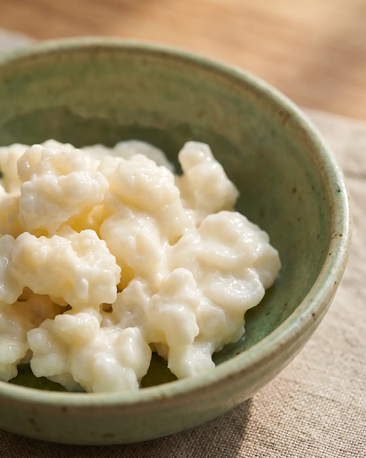 eiweiß kefir Makroaufnahme feuchter Milchkefirknollen mit blumenkohlartiger Struktur auf hellgrüner Keramik.