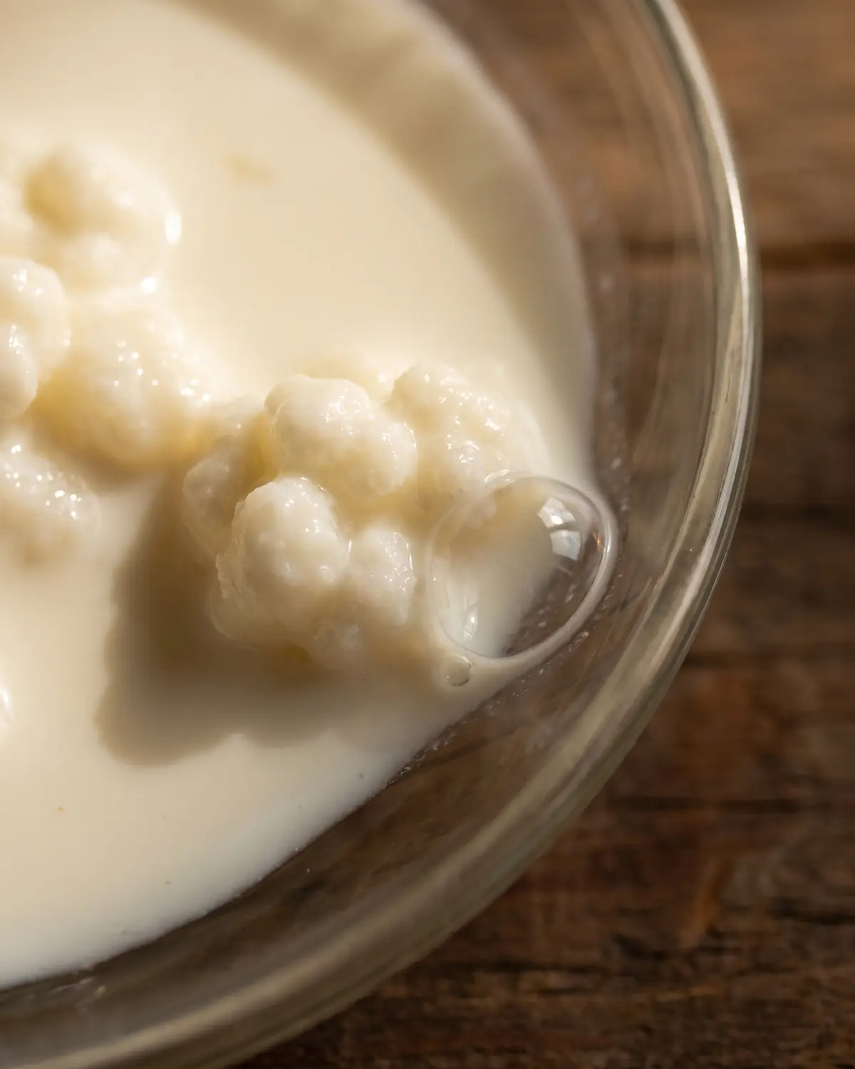 kefir darmflora Nahaufnahme einer einzelnen Blase neben einer Kefirknolle, mit cremiger Milch am dunkleren Glasrand.