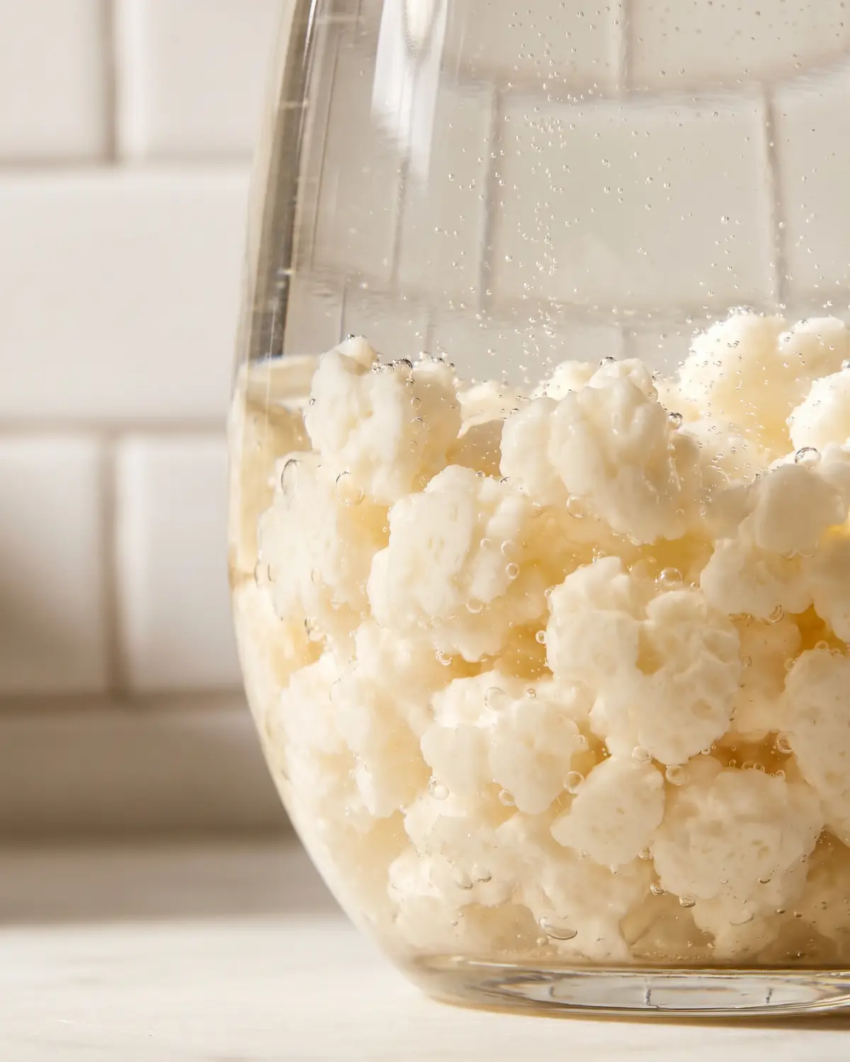 kefir brot Feine Bläschen steigen zwischen Kefirkörnern im gebogenen Glas vor einem hellen Fliesenhintergrund auf.