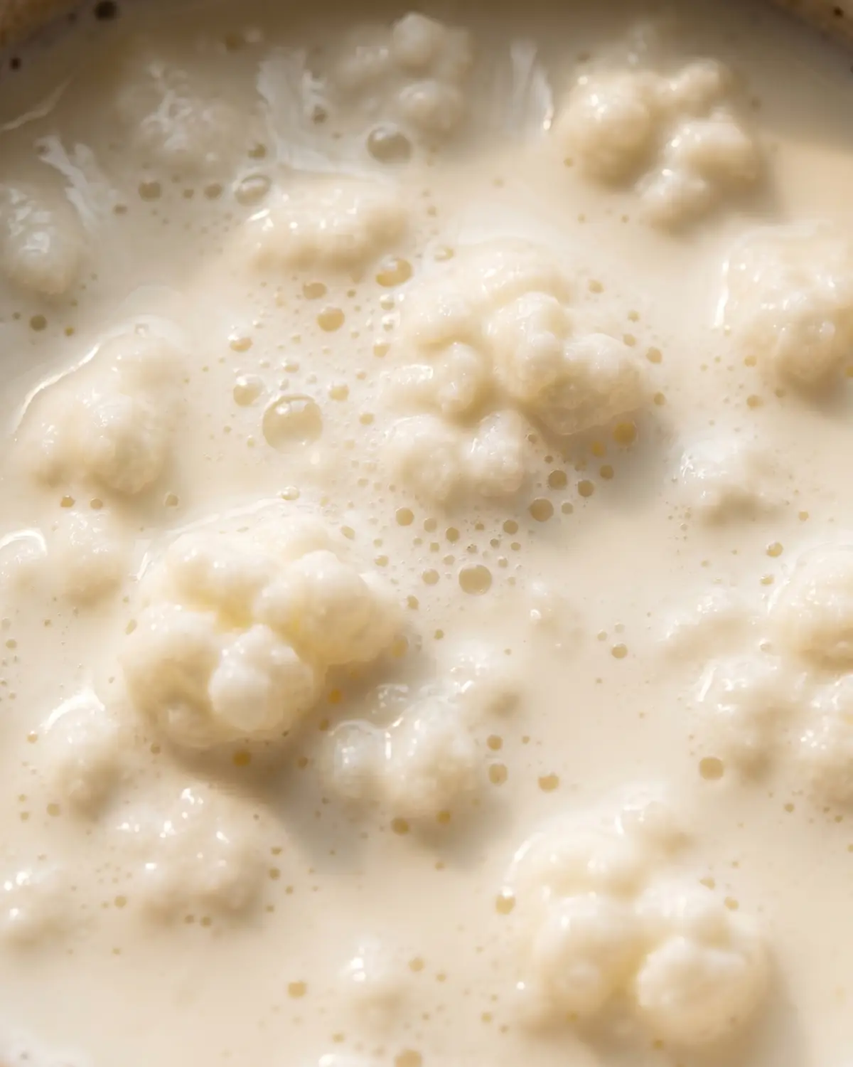 kefir bedeutung Makroaufnahme von cremigem Milchkefir mit feinen Bläschen auf der Oberfläche unter weichem Licht.