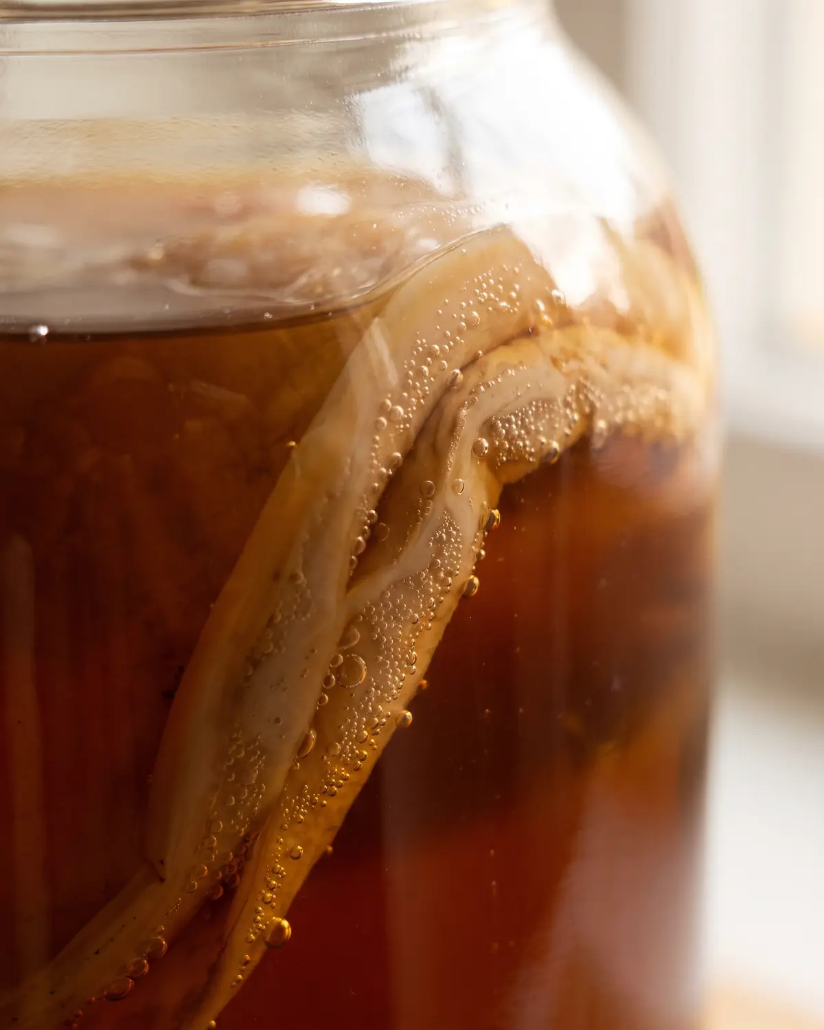 kombucha darm Nahaufnahme eines gefalteten SCOBY-Rands am Glas mit feinen Mikroblasen in beigen Fermentationsspuren.