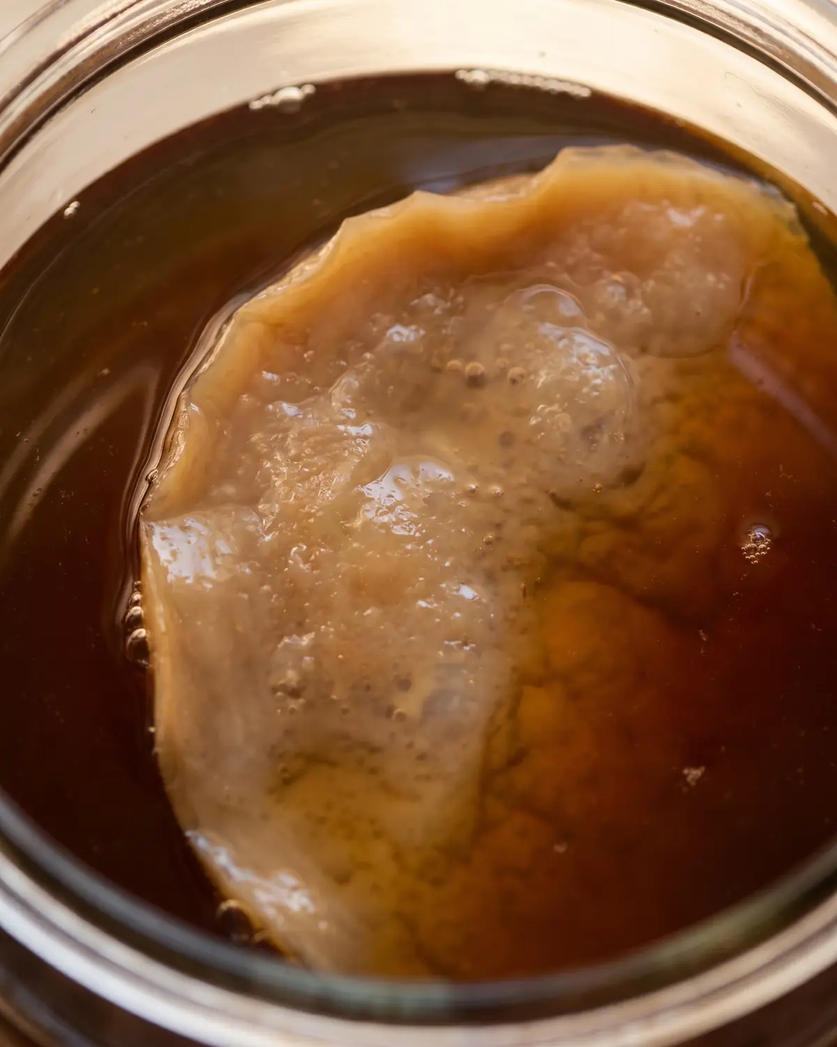 woher kommt kombucha Ein feiner SCOBY schwimmt auf dunklem Tee, von oben gesehen mit unregelmäßigem hellem Rand.