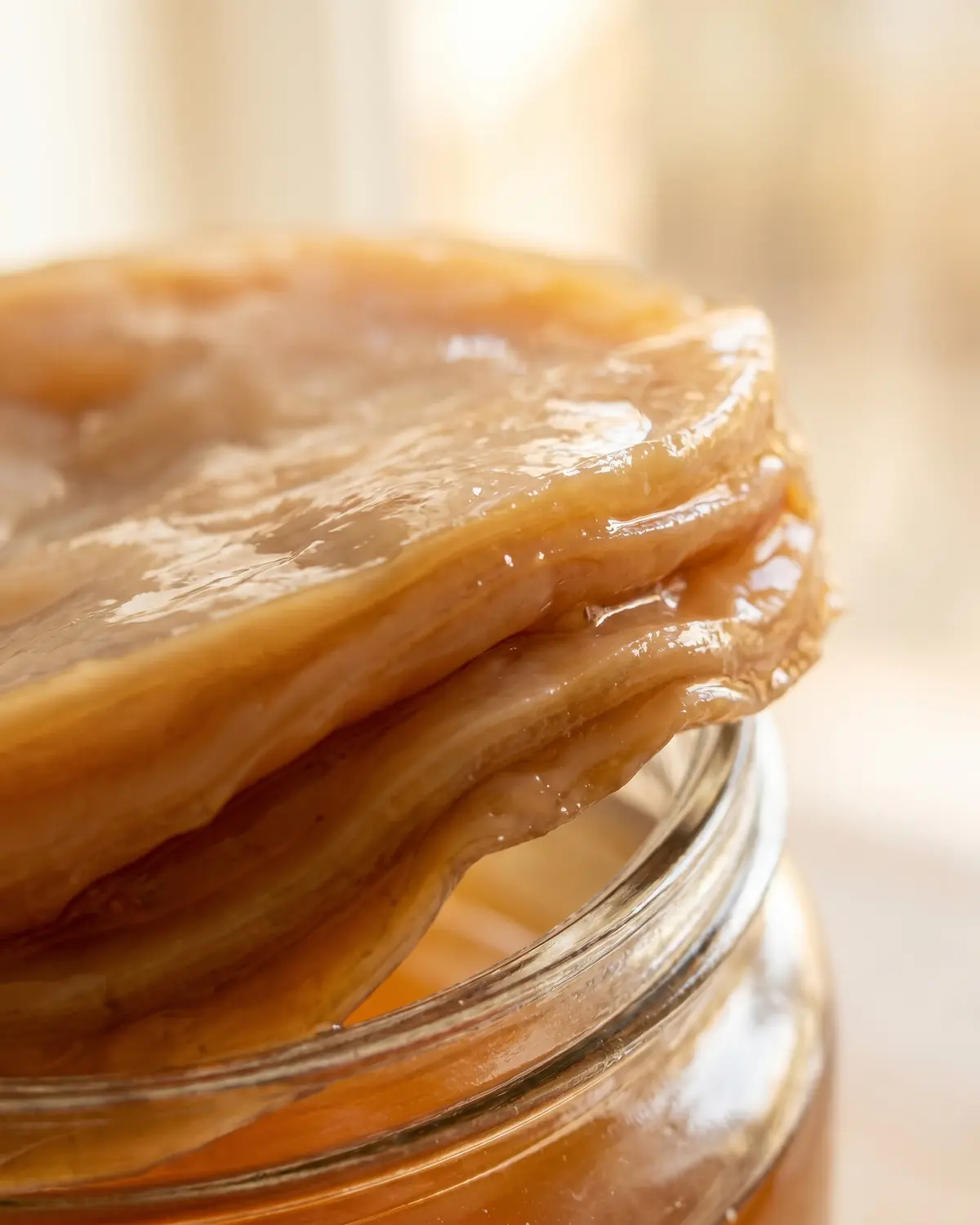 Nahaufnahme eines beige-braunen SCOBY-Randes mit gummiartigen Schichten in bernsteinfarbenem Tee.
