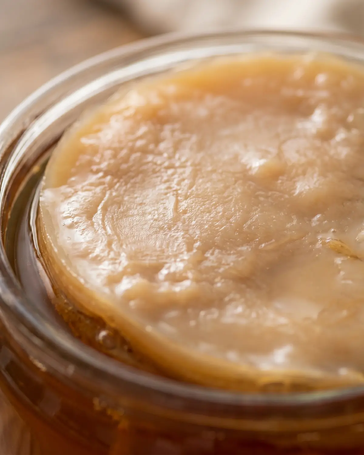 kombucha urlaub Makroaufnahme eines beige-braunen SCOBY mit gummiartiger, unregelmäßiger Oberfläche und feinem Relief.