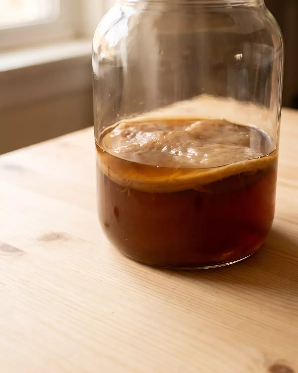 scoby schimmel Blick von unten durch ein Kombucha-Glas, in dem der bernsteinfarbene SCOBY wie eine runde Scheibe erscheint